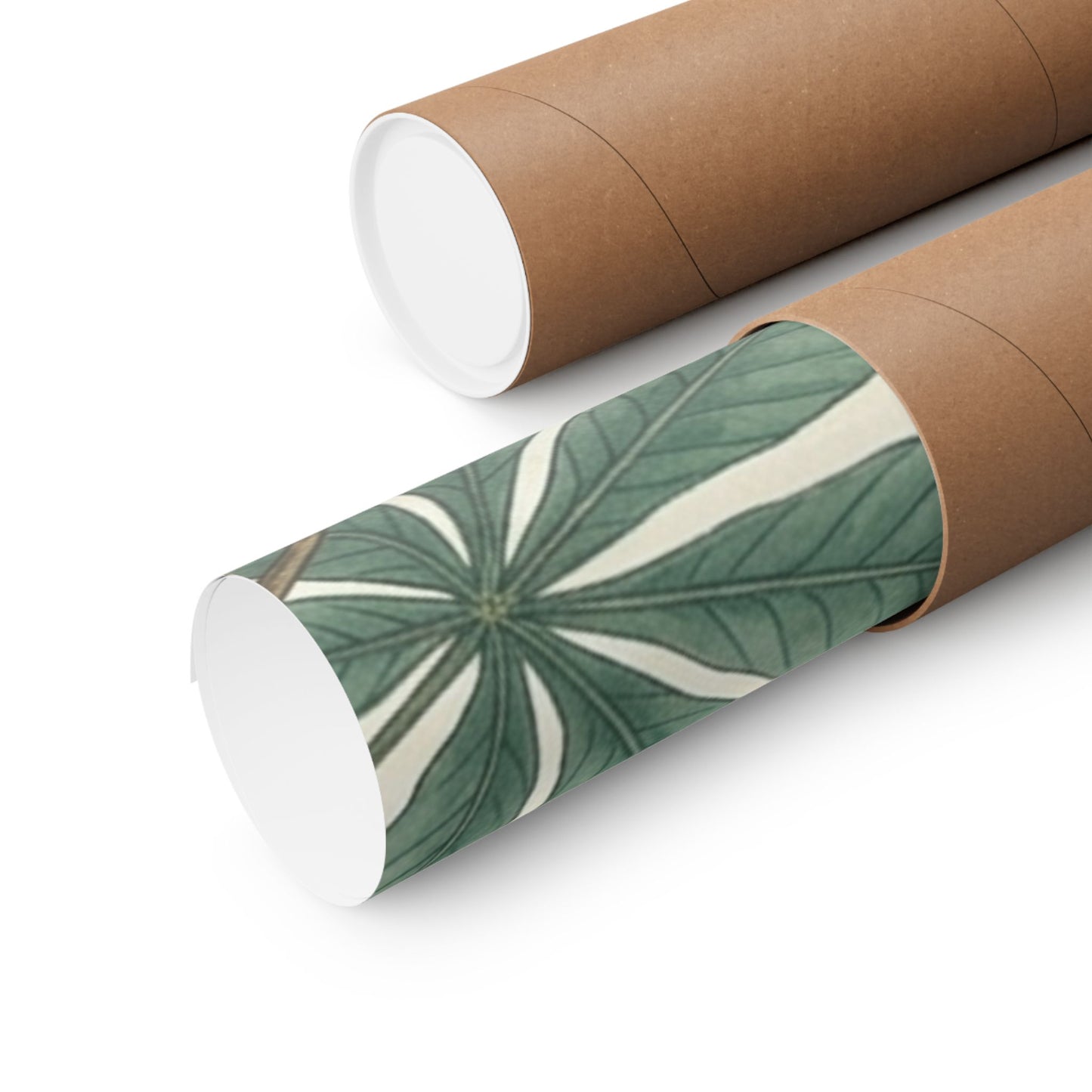 Botanical Conker Watercolor Matte Vertical Poster