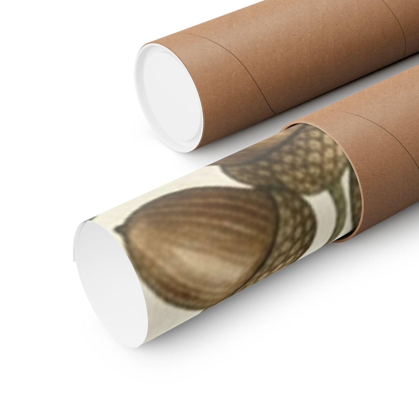 Botanical Oak & Acorns Watercolor Matte Vertical Poster