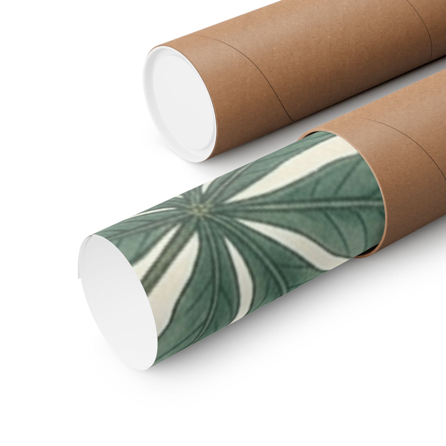 Botanical Conker Watercolor Matte Vertical Poster