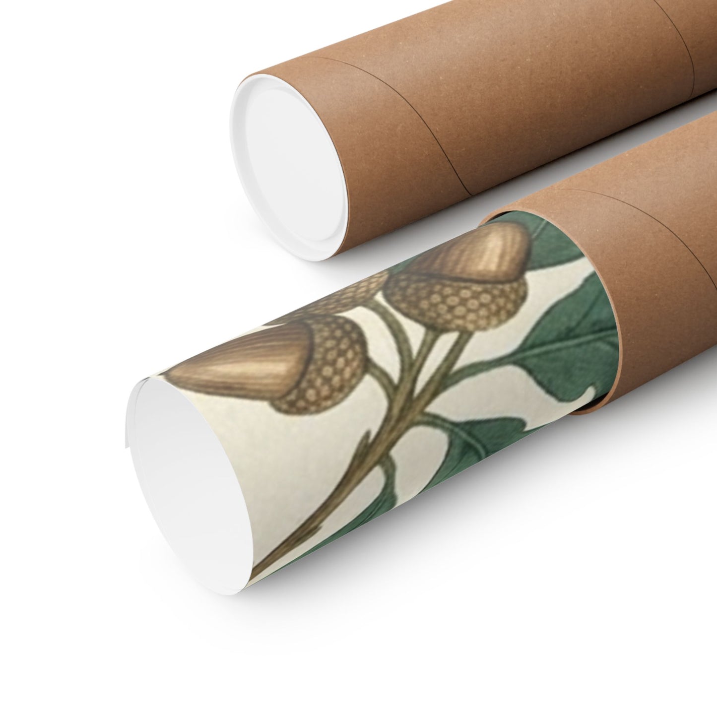 Botanical Oak & Acorns Watercolor Matte Vertical Poster