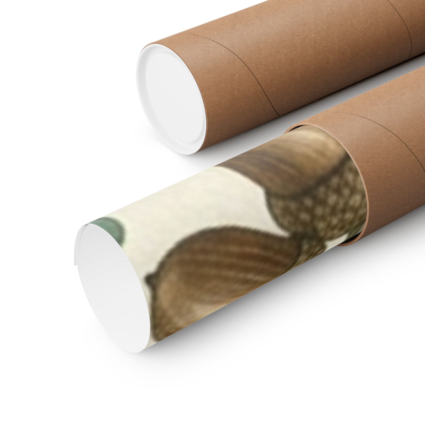 Botanical Oak & Acorns Watercolor Matte Vertical Poster